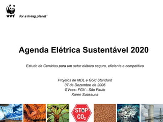 Agenda Elétrica Sustentável 2020
Estudo de Cenários para um setor elétrico seguro, eficiente e competitivo
Projetos de MDL e Gold Standard
07 de Dezembro de 2006
GVces- FGV - São Paulo
Karen Suassuna
 