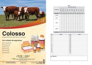 MAIO




ESPAÇO PUBLICITÁRIO

    OURO FINO

     COLORIDA




                      NÃO ESQUECER:




         60                             17
 