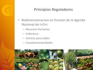 De la Agenda Nacional de I+D+i a la Gestión del SNCTA