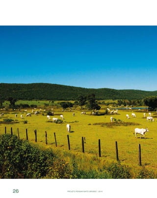 PROJETO PENSAR MATO GROSSO - 201426
 