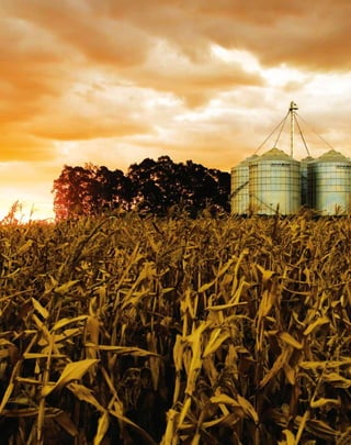 PROJETO PENSAR MATO GROSSO - 201434
 