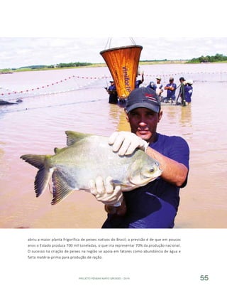 PROJETO PENSAR MATO GROSSO - 2014 55
abriu a maior planta frigorífica de peixes nativos do Brasil; a previsão é de que em poucos
anos o Estado produza 700 mil toneladas, o que iria representar 70% da produção nacional.
O sucesso na criação de peixes na região se apoia em fatores como abundância de água e
farta matéria-prima para produção de ração.
 