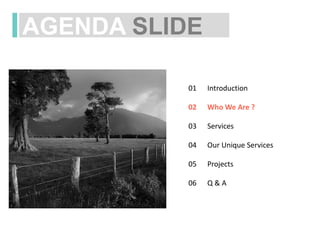 AGENDA SLIDE
Introduction
Services
Projects
Q & A
Who We Are ?
Our Unique Services
01
02
03
04
05
06
 