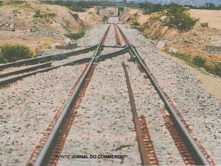 FONTE JORNAL DO COMMERCIO

 