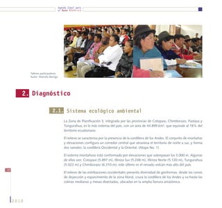 Agenda Zonal para
                                      el Buen Vivir




            Talleres participativos
            Autor: Marcelo Barriga




        2. Diagnóstico

                              2.1. Sistema ecológico ambiental
                                          La Zona de Planificación 3, integrada por las provincias de Cotopaxi, Chimborazo, Pastaza y
                                          Tungurahua, es la más extensa del país, con un área de 44.899 km², que equivale al 18% del
                                          territorio ecuatoriano.

                                          El relieve se caracteriza por la presencia de la cordillera de los Andes. El conjunto de montañas
                                          y elevaciones configura un corredor central que atraviesa el territorio de norte a sur, y forma
                                          dos ramales: la cordillera Occidental y la Oriental. (Mapa No. 1)

                                          El sistema montañoso está conformado por elevaciones que sobrepasan los 5.000 m. Algunas
                                          de ellas son: Cotopaxi (5.897 m), Illiniza Sur (5.248 m), Illiniza Norte (5.120 m), Tungurahua
                                          (5.023 m) y Chimborazo (6.310 m); este último es el nevado volcán más alto del país.
10
                                          El relieve de las estribaciones occidentales presenta diversidad de geoformas: desde los conos
                                          de deyección y esparcimiento de la zona litoral, cruza la cordillera de los Andes y va hasta las
                                          colinas medianas y mesas disectadas, ubicadas en la amplia llanura amazónica.




     2010
 