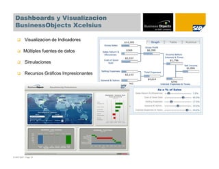 Dashboards y Visualizacion
  BusinessObjects Xcelsius

           Visualizacion de Indicadores

          Múltiples fuentes de datos

           Simulaciones

           Recursos Gráficos Impresionantes




© SAP 2007 / Page 18
 