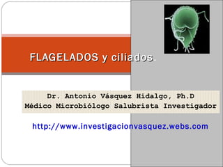 Dr. Antonio Vásquez Hidalgo, Ph.D
Médico Microbiólogo Salubrista Investigador
http://www.investigacionvasquez.webs.com
FLAGELADOS y ciliadosFLAGELADOS y ciliados.
 