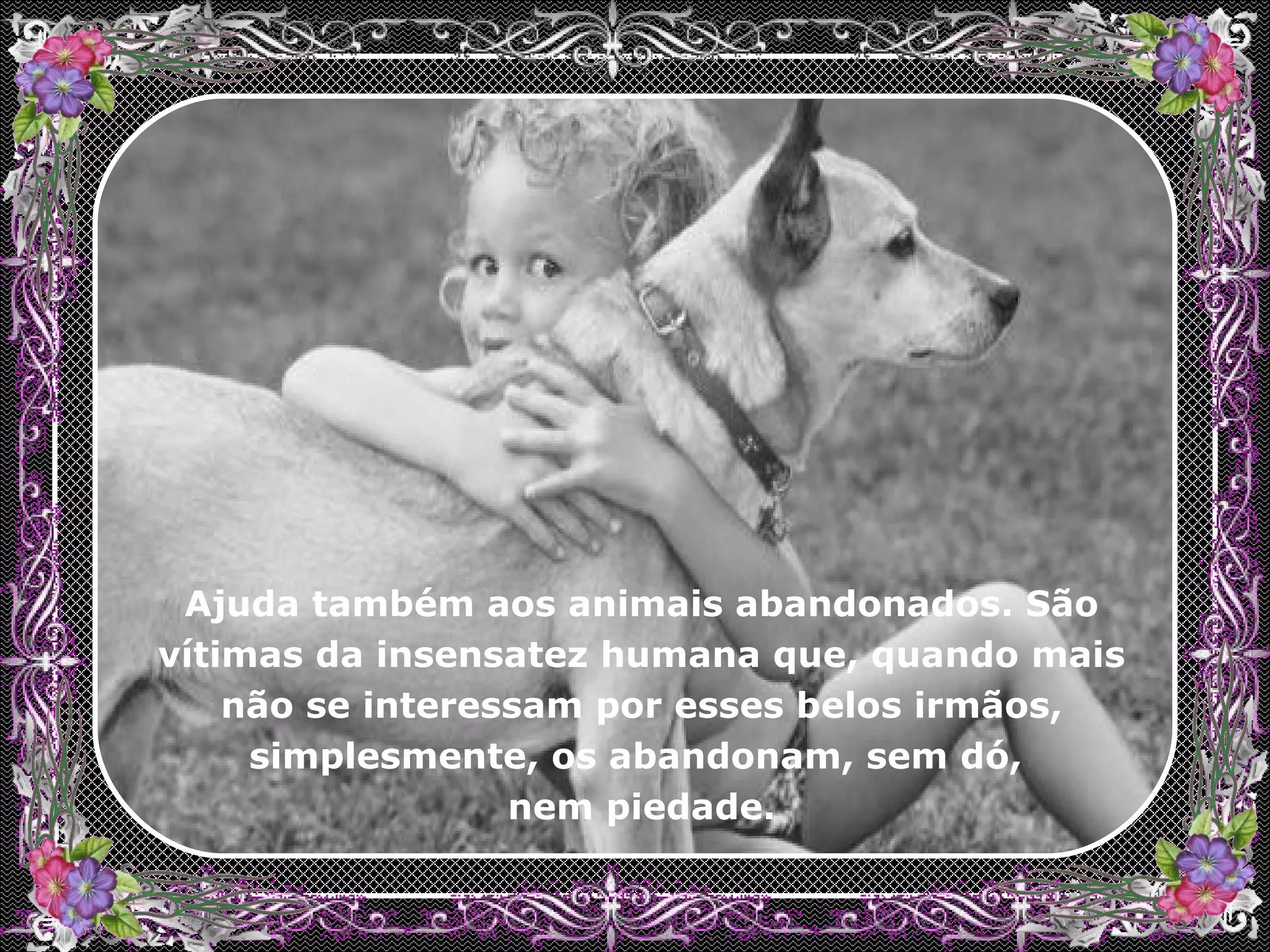 Ajuda também aos animais abandonados. São vítimas da insensatez humana que, quando mais não se interessam por esses belos irmãos, simplesmente, os abandonam, sem dó, nem piedade.