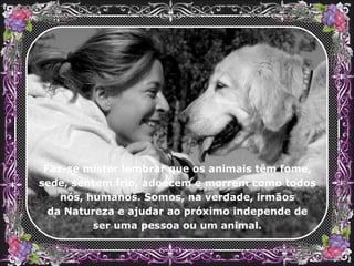 Faz-se mister lembrar que os animais têm fome, sede, sentem frio, adoecem e morrem como todos nós, humanos. Somos, na verdade, irmãos da Natureza e ajudar ao próximo independe de ser uma pessoa ou um animal. 