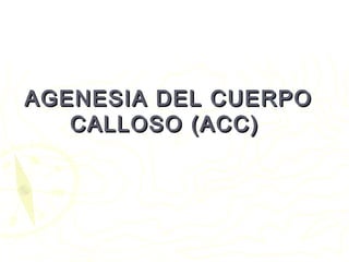 AAGGEENNEESSIIAA DDEELL CCUUEERRPPOO 
CCAALLLLOOSSOO ((AACCCC)) 
 
