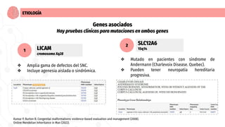 ETIOLOGÍA
Genes asociados
Hay pruebas clínicas para mutaciones en ambos genes
LICAM
cromosoma Xq28
❖ Amplia gama de defect...