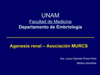 UNAM Facultad de Medicina Departamento de Embriología Agenesia renal – Asociación MURCS Dra. Laura Gabriela Flores Peña Médico Genetista 