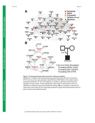 Coe et al.

Page 13

HHMI Author Manuscript
HHMI Author Manuscript
Figure 3. Protein-protein interaction network for ASD gene mutations

HHMI Author Manuscript

(A) Shown is a highly interconnected protein-protein interaction network consisting of
49/125 severe de novo gene mutations identified from 209 children with simplex autism
described in O’Roak et al. [52]. The pathway is enriched in upstream and downstream
regulators of beta-catenin. It ranks significantly with respect to autism genes and is not
identified in similarly characterized unaffected siblings. (B) An example of a patient with
autism who carries three de novo truncating mutations in genes that encode proteins that are
part of a beta-catenin linked network.

Curr Opin Neurobiol. Author manuscript; available in PMC 2013 April 01.

 