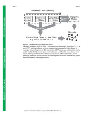 Coe et al.

Page 14

HHMI Author Manuscript
Figure 4. A model for neurodevelopmental disease

HHMI Author Manuscript

Two paths are shown involving either 1) mutation events of singularly large effect (e.g., a de
novo CNV) resulting in disease or 2) rare mutations that compound to lead to disease of
varying severity and expressivity. The intersection of CNV, indel, and point mutation can be
used to readily identify primary genes where imbalance is sufficient to cause disease. In the
second pathway, multiple events will need to co-exist in an individual to elicit a disease
phenotype. Mutations in both converge on common protein interaction networks and genetic
pathways important in neurodevelopment.

HHMI Author Manuscript
Curr Opin Neurobiol. Author manuscript; available in PMC 2013 April 01.

 