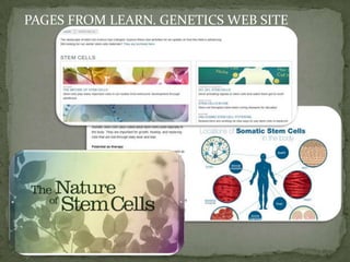 PAGES FROM LEARN. GENETICS WEB SITE<br />