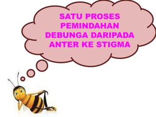 SATU PROSES
PEMINDAHAN
DEBUNGA DARIPADA
ANTER KE STIGMA
 