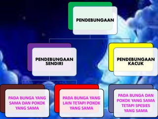PENDEBUNGAAN
PENDEBUNGAAN
SENDIRI
PADA BUNGA YANG
SAMA DAN POKOK
YANG SAMA
PADA BUNGA YANG
LAIN TETAPI POKOK
YANG SAMA
PENDEBUNGAAN
KACUK
PADA BUNGA DAN
POKOK YANG SAMA
TETAPI SPESIES
YANG SAMA
 