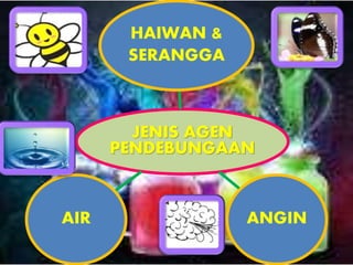 JENIS AGEN
PENDEBUNGAAN
HAIWAN &
SERANGGA
ANGINAIR
 