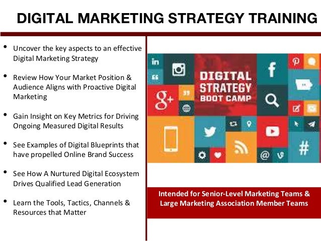 Agent cy - Digital Marketing Agency and Training Firm