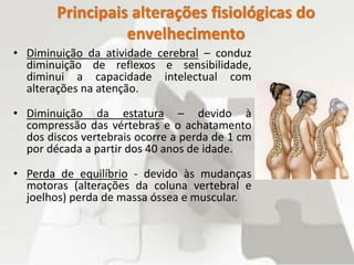 Principais alterações fisiológicas do
envelhecimento
• Diminuição da atividade cerebral – conduz
diminuição de reflexos e sensibilidade,
diminui a capacidade intelectual com
alterações na atenção.
• Diminuição da estatura – devido à
compressão das vértebras e o achatamento
dos discos vertebrais ocorre a perda de 1 cm
por década a partir dos 40 anos de idade.
• Perda de equilíbrio - devido às mudanças
motoras (alterações da coluna vertebral e
joelhos) perda de massa óssea e muscular.
 