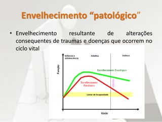 Envelhecimento “patológico”
• Envelhecimento resultante de alterações
consequentes de traumas e doenças que ocorrem no
ciclo vital
 