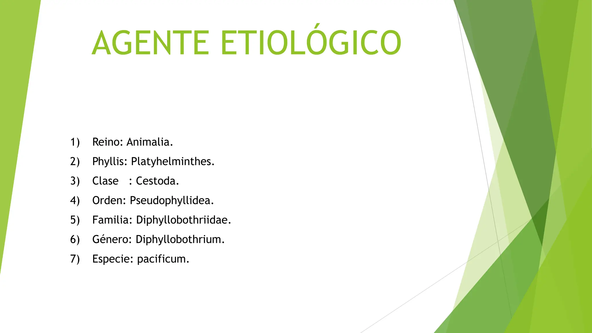 MEDICINA AGENTE ETIOLÓGICO D PACIFICUM.pptx