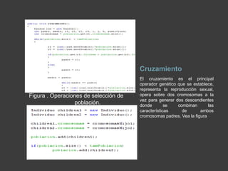     3.- Condición de 	término El Algoritmo Genético se detiene cuando se alcanza la solución óptima, pero entendemos que se desconoce por qué el algoritmo genético aun no aplica todas las operaciones para buscar la ruta óptima. Hemos indicado que el algoritmo genético mantiene un tamaño de población, tamaño ELITE (una porción de esa población), cruzamiento, generaciones, TSP (problema de resolución de rutas), observe en la figura, que indica la inicialización de cada operación.Figura. Inicialización de operaciones