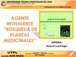 INTELIGENCIA ARTIFICIAL AGENTE INTELIGENTE “BÚSQUEDA DE PLANTAS MEDICINALES” AUTORA: Raquel Luzuriaga 