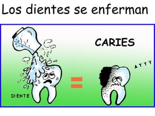 CARIES Los dientes se enferman 