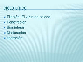 CICLO LÍTICO
 Fijación. El virus se coloca
 Penetración
 Biosíntesis
 Maduración
 liberación
 