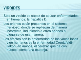 VIROIDES
Sólo un viroide es capaz de causar enfermedades
en humanos: la hepatitis D.
Los priones están presentes en el sistema
nervioso, donde se repliegan de manera
incorrecta, induciendo a otros priones a
plegarse de esa manera.
Los efectos son la enfermedad de las vacas locas
y en humanos es la enfermedad Creutzfeldt-
Jakob, en ambos, el cerebro que da con
huecos, como una esponja.
 