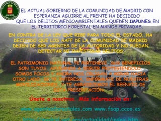 EL ACTUAL GOBIERNO DE LA COMUNIDAD DE MADRID CON  ESPERANZA AGUIRRE AL FRENTE HA DECIDIDO  QUE LOS DELITOS MEDIOAMBIENTALES QUEDEN  IMPUNES  EN EL TERRITORIO FORESTAL EN MANOS PRIVADAS . EN CONTRA DE LA LEY QUE RIGE PARA TODO EL ESTADO, HA DECICIDO QUE LOS AAFF DE LA COMUNIDAD DE MADRID DEJEN DE SER AGENTES DE LA AUTORIDAD Y NO PUEDAN DETECTAR NI INVESTIGAR DELITOS EL PATRIMONIO NATURAL TE PERTENECE, SUS BENEFICIOS SON TUYOS. AYUDANOS A SEGUIR PROTEGIÉNDOLO. SOMOS POCOS Y AHORA NOS OBLIGAN A MIRAR HACIA OTRO LADO. SI TE INTERESA, INFÓRMATE DE NUESTRAS MOVILIZACIONES, Y TE AGRADECEMOS EL REENVÍO DE ESTA PRESENTACIÓN.  Únete a nosotros. Más información en: www.agentesforestales.com   www.fsap.ccoo.es http://madrid.ugt.org/actualidad/index.htm 