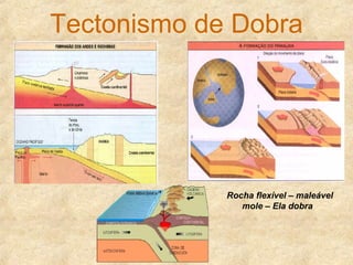 Tectonismo de Dobra
Rocha flexível – maleável
mole – Ela dobra
 
