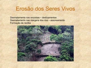 Erosão dos Seres Vivos
Desmatamento nas encostas – deslizamentos
Desmatamento nas margens dos rios – assoreamento
Formação de recifes
 