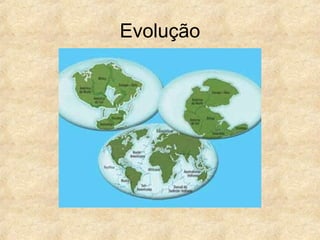 Evolução
 