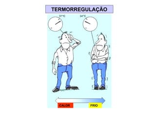 TERMORREGULAÇÃO 
CALOR FRIO 
 