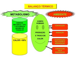 CORPO 
HUMANO 
PRODUÇÃO 
E TROCA DE 
CALOR 
MMEETTAABBOOLLIISSMMOO 
ENERGIA 
MECÂNICA = 20% 
= EFFICIÊNCIA 
MÁXIMA DE 
TRABALHO 
CALOR = 80% 
AAMMBBIIEENNTTEE 
CONVECÇÃO 
RADIAÇÃO 
EVAPORAÇÃO 
PELO SUOR E 
RESPIRAÇÃO 
CONVECÇÃO 
PELA 
RESPIRAÇÃO 
BALANÇO TÉRMICO 
 