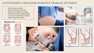 ACTIVIDADES A REALIZAR DURANTE TRABAJO DE PARTO
- T
oma de signos vitales.
- Medición de altura uterina.
- Efectuar maniobra de Leopold.
- Valorar frecuencia cardiaca fetal.
- Corroborar movimientos fetales.
- Valorar dinamica uterina.
 