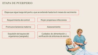 ETAPA DE PUERPERIO
Etapa que sigue luego del parto y que se extiende hasta los 6 meses de nacimiento
Requerimiento de control Mujer propensa a infecciones
Promueve lactancia materna Asesoramiento
Expulsión de loquios del
organismos (sangrado)
Cuidados de alimentación y
veriﬁcación de síntomas de alarma
 