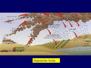 Deposición Ácida
 