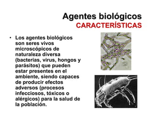 Agentes biológicos
                           CARACTERÍSTICAS
• Los agentes biológicos
  son seres vivos
  microscópicos de
  naturaleza diversa
  (bacterias, virus, hongos y
  parásitos) que pueden
  estar presentes en el
  ambiente, siendo capaces
  de producir efectos
  adversos (procesos
  infecciosos, tóxicos o
  alérgicos) para la salud de
  la población.
 