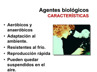Agentes biológicos
                    CARACTERÍSTICAS

• Aeróbicos y
  anaeróbicos
• Adaptación al
  ambiente.
• Resistentes al frío.
• Reproducción rápida
• Pueden quedar
  suspendidos en el
  aire.
 