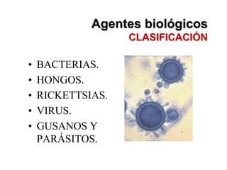 Agentes biológicos
                   CLASIFICACIÓN

•   BACTERIAS.
•   HONGOS.
•   RICKETTSIAS.
•   VIRUS.
•   GUSANOS Y
    PARÁSITOS.
 