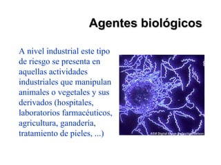 Agentes biológicos

A nivel industrial este tipo
de riesgo se presenta en
aquellas actividades
industriales que manipulan
animales o vegetales y sus
derivados (hospitales,
laboratorios farmacéuticos,
agricultura, ganadería,
tratamiento de pieles, ...)
 