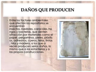 DAÑOS QUE PRODUCEN

• Entre los factores ambientales
  que afectan los repositorios se
  encuentran
  insectos, roedores, caracoles, ho
  ngos y bacterias, que sienten
  atracción por materiales como el
  papel, pergaminos, pieles, plástic
  os, adhesivos, cueros, telas, tintas
  , hilos y madera, a los que a
  veces producen serios daños, lo
  mismo que a las estanterías y a
  las propias construcciones.
 