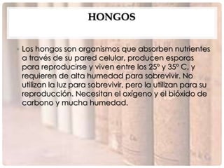HONGOS


• Los hongos son organismos que absorben nutrientes
  a través de su pared celular, producen esporas
  para reproducirse y viven entre los 25º y 35º C, y
  requieren de alta humedad para sobrevivir. No
  utilizan la luz para sobrevivir, pero la utilizan para su
  reproducción. Necesitan el oxígeno y el bióxido de
  carbono y mucha humedad.
 