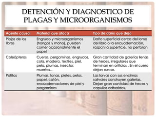 DETENCIÓN Y DIAGNOSTICO DE
           PLAGAS Y MICROORGANISMOS
Agente causal   Material que ataca              Tipo de daño que deja
Piojos de los   Engrudo y microorganismos       Daño superficial cerca del lomo
libros          (hongos y moho), pueden         del libro o la encuadernación,
                comer ocasionalmente el         raspan la superficie, no perforan
                papel
Coleópteros     Cueros, pergaminos, engrudos,   Gran cantidad de galerías llenas
                cola, madera, textiles, piel,   de heces, irregulares que
                pelo, plumas, insectos          terminan en orificios . En el cuero
                muertos…                        dejan surcos.
Polillas        Plumas, lanas, pieles, pelos,   Las larvas con sus encimas
                papel, catón,                   salivales construyen galerías.
                encuadernaciones de piel y      Dejan gran cantidad de heces y
                pergaminos                      capullos adheridos.
 