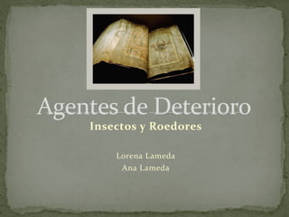 Insectos y Roedores
Lorena Lameda
Ana Lameda
Agentes de Deterioro
 