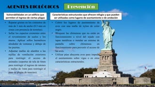 Vulnerabilidades en un edificio que
permiten el ingreso de ciertas plagas
AGENTES BIOLÓGICOS
Características estructurales que ofrecen refugio y que pueden
ser utilizadas como lugares de asentamiento o de anidación
• Cubrir los lugares de asentamiento de
aves con una malla de nylon de color
negro.
• Bloquear las chimeneas que no están en
funcionamiento a nivel del tejado con
tapas metálicas o instalar un sistema de
pantalla sobre chimeneas en
funcionamiento para prevenir el acceso de
las aves.
• Utilizar púas ahuyenta aves para impedir
el asentamiento sobre vigas o en otras
características estructurales.
• Reparar grietas en los cimientos de
más de 1 mm de ancho (0.3 mm en
zonas con presencia de termitas).
• Sellar los espacios existentes entre
el revestimiento de suelos y los
muros. Aplicar sellos herméticos
alrededor de ventanas y debajo de
las puertas.
• Adjuntar mallas de alambre a las
rejillas de ventilación exteriores
para restringir el acceso de
animales (soportes de tela de 6mm
para restringir el ingreso de ratones
y mallas de 1mm para restringir el
paso de plagas de insectos).
Prevención
 
