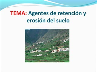 TEMA: Agentes de retención y
erosión del suelo
 